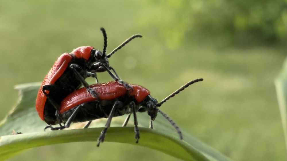 Photograph by Ekaterina Slepneva