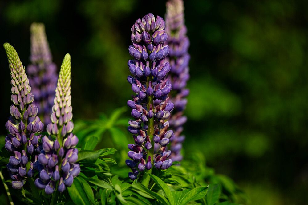 Photograph by Евгений Авдеев