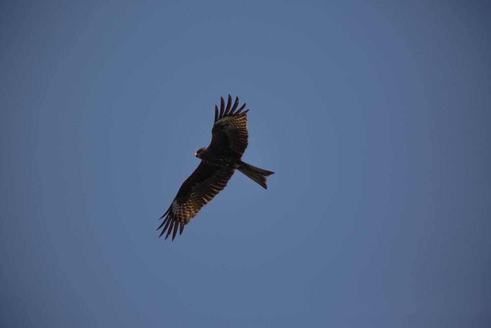 Photograph by Евгений Авдеев