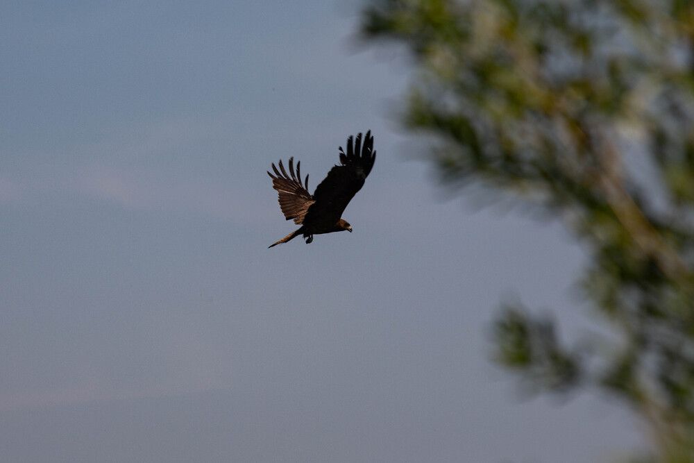 Photograph by Евгений Авдеев