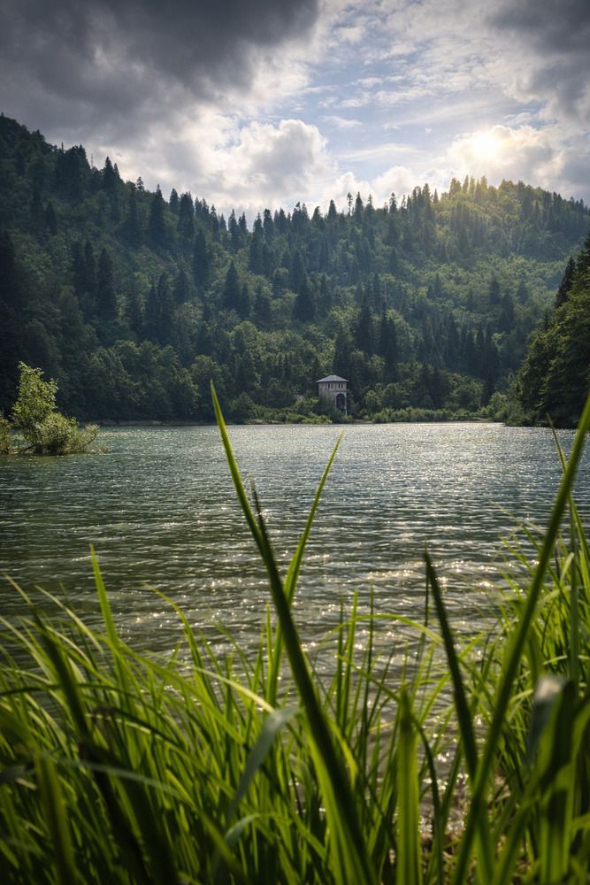 Photograph by Ольга Костенко