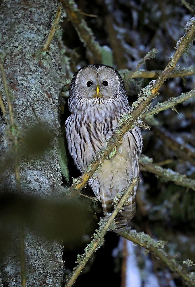 Photograph by Людмила Белякова