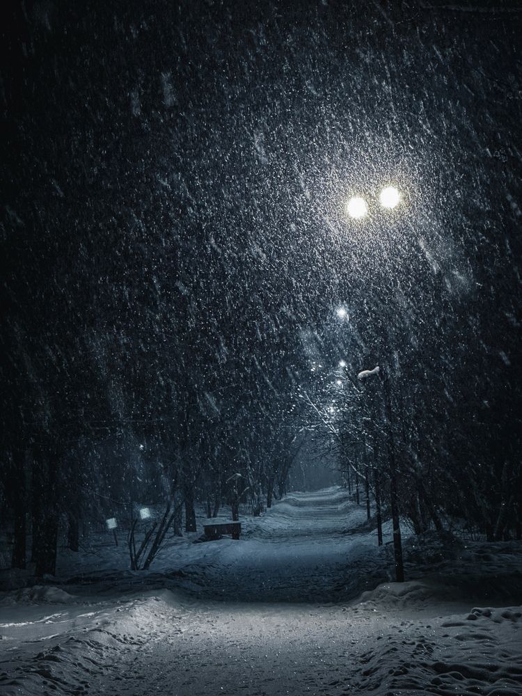 Фотография автора Бороздина Мария