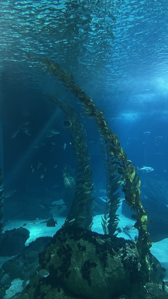 Photograph by Людмила Казак