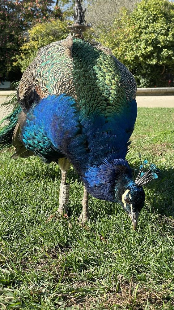 Photograph by Людмила Казак