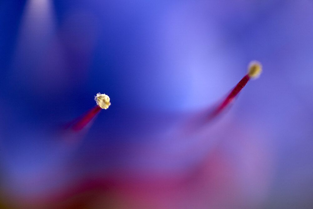 Photograph by Максим Карпович