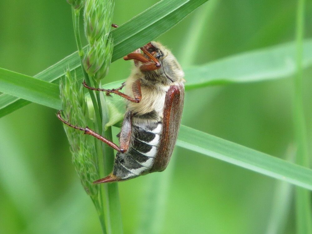 Photograph by Лариса Басова