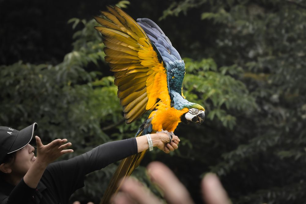 Photograph by KOHAGI