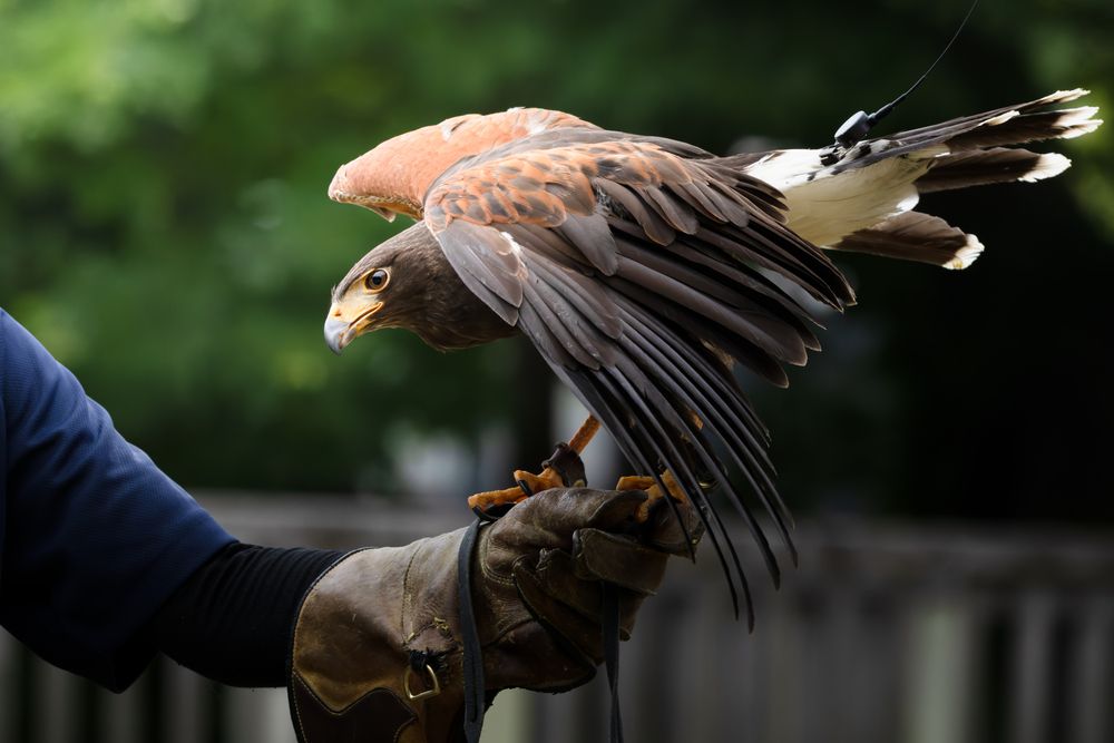 Photograph by KOHAGI