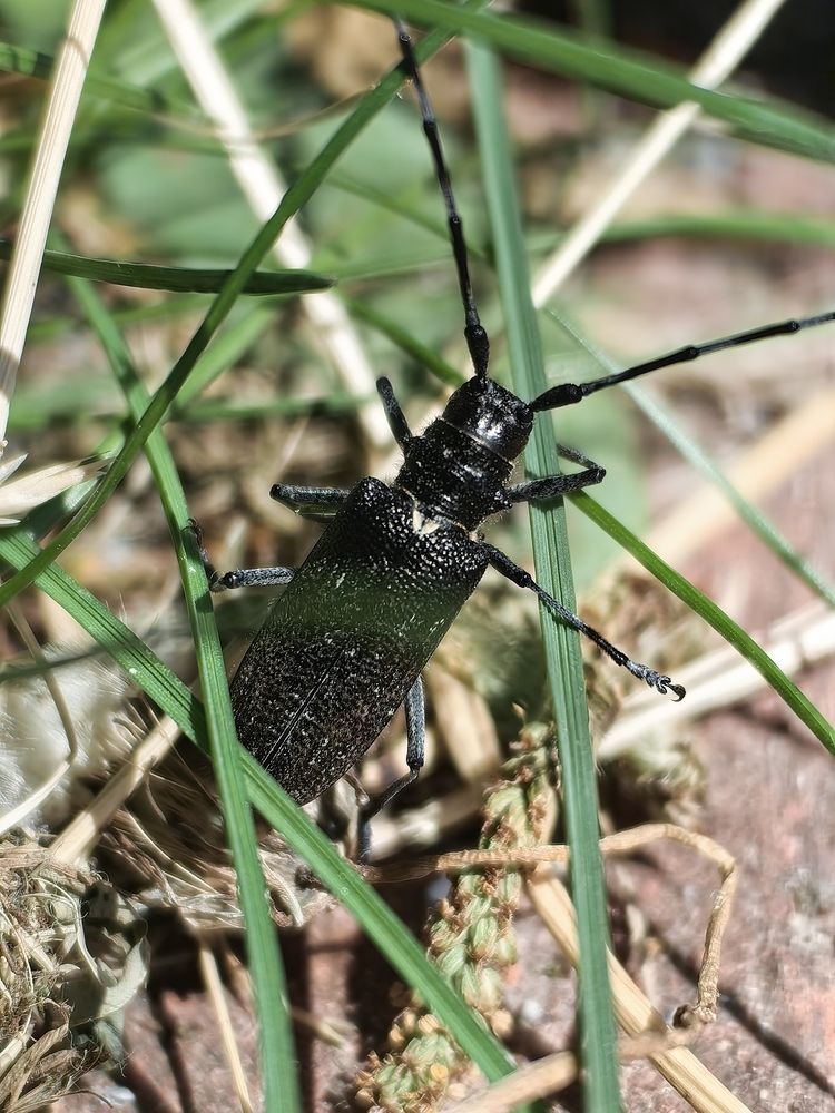 Photograph by OLGA MIKHNEVICH