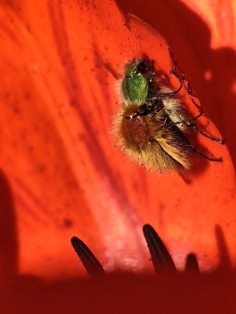 Photograph by OLGA MIKHNEVICH