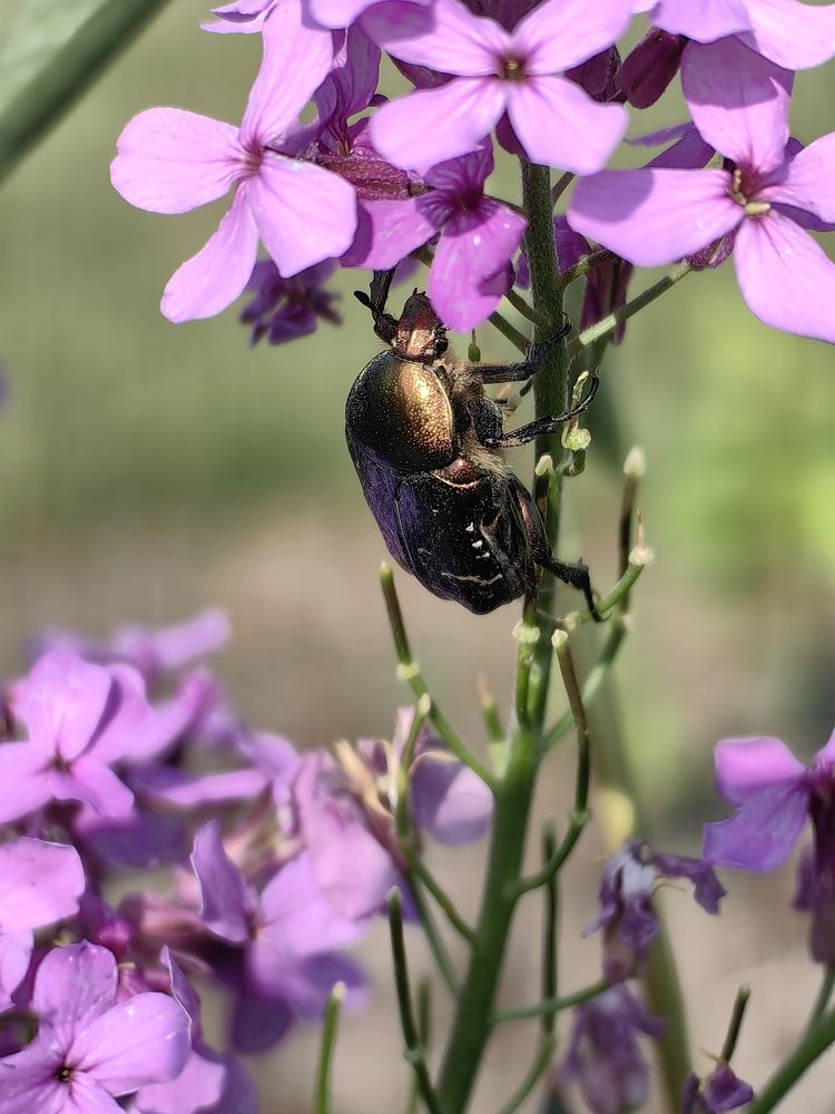 Photograph by OLGA MIKHNEVICH