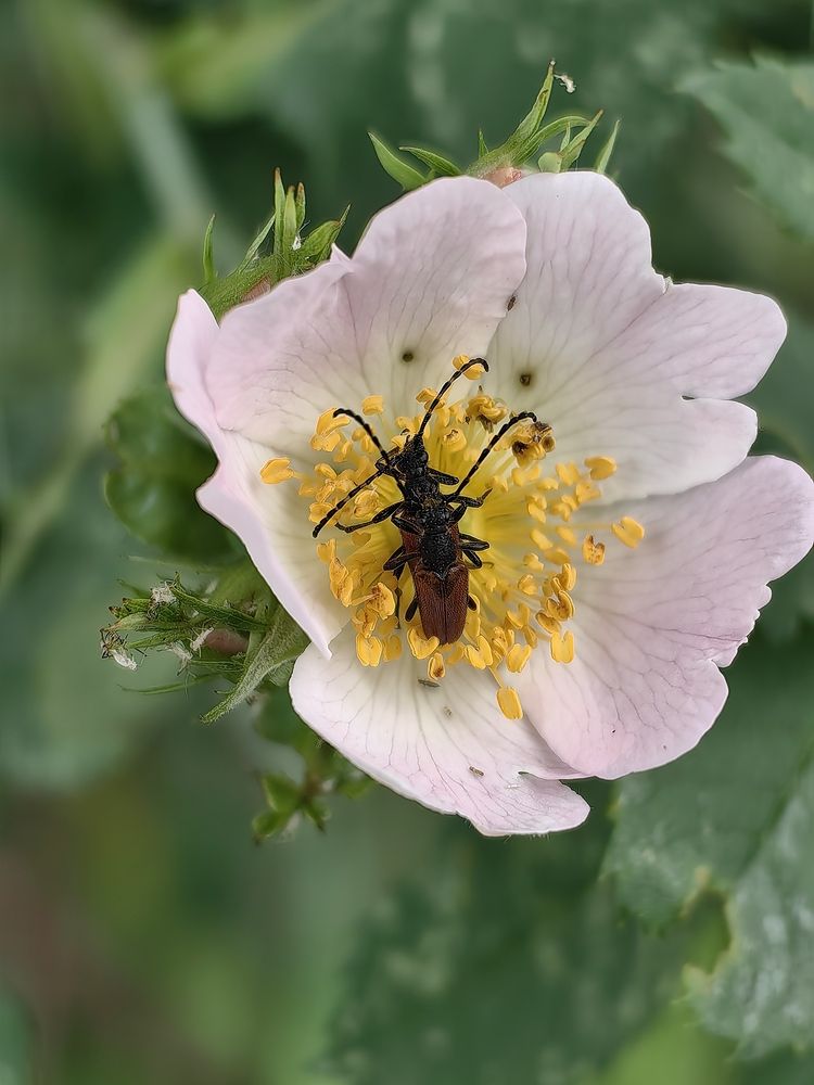 Photograph by OLGA MIKHNEVICH