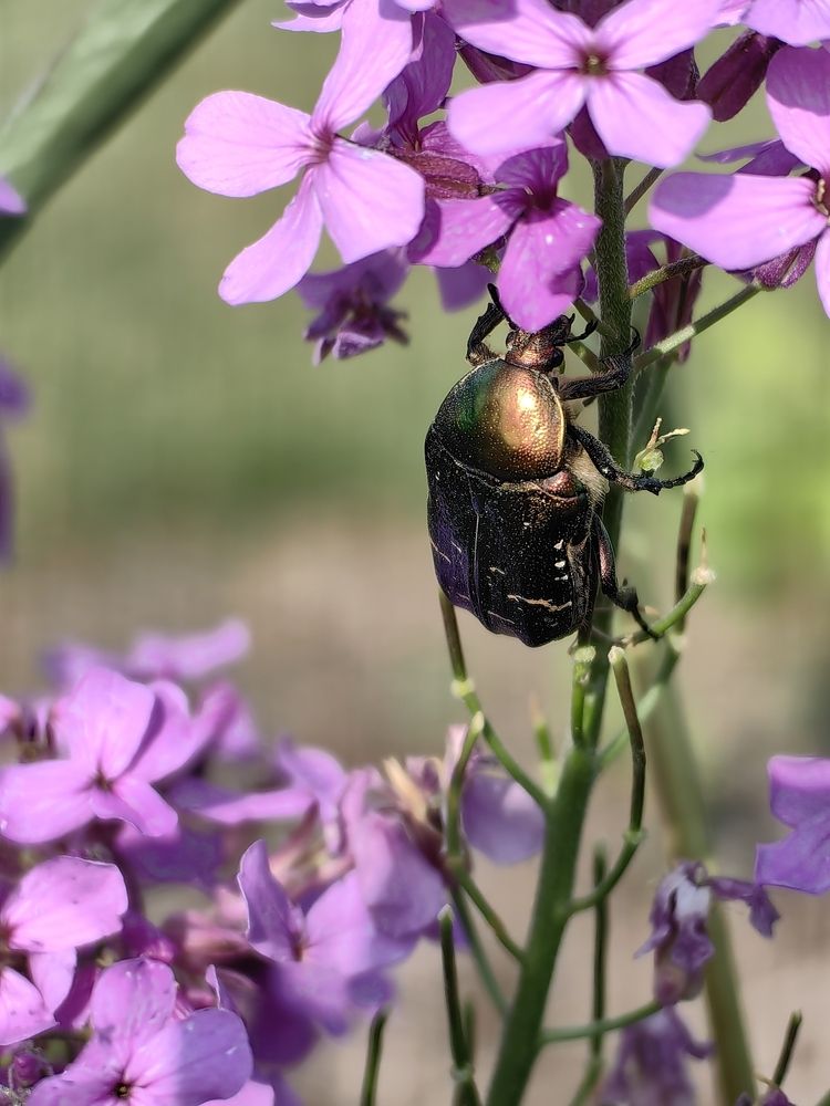 Photograph by OLGA MIKHNEVICH