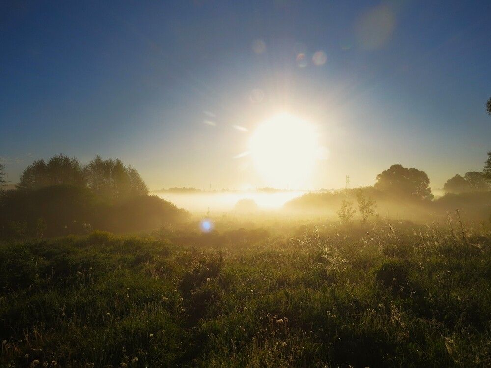 Photograph by Лариса Басова