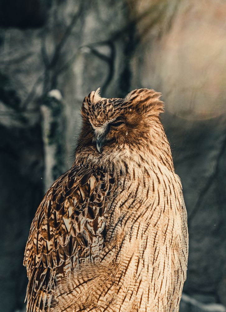 Фотография автора Павел Ващилов