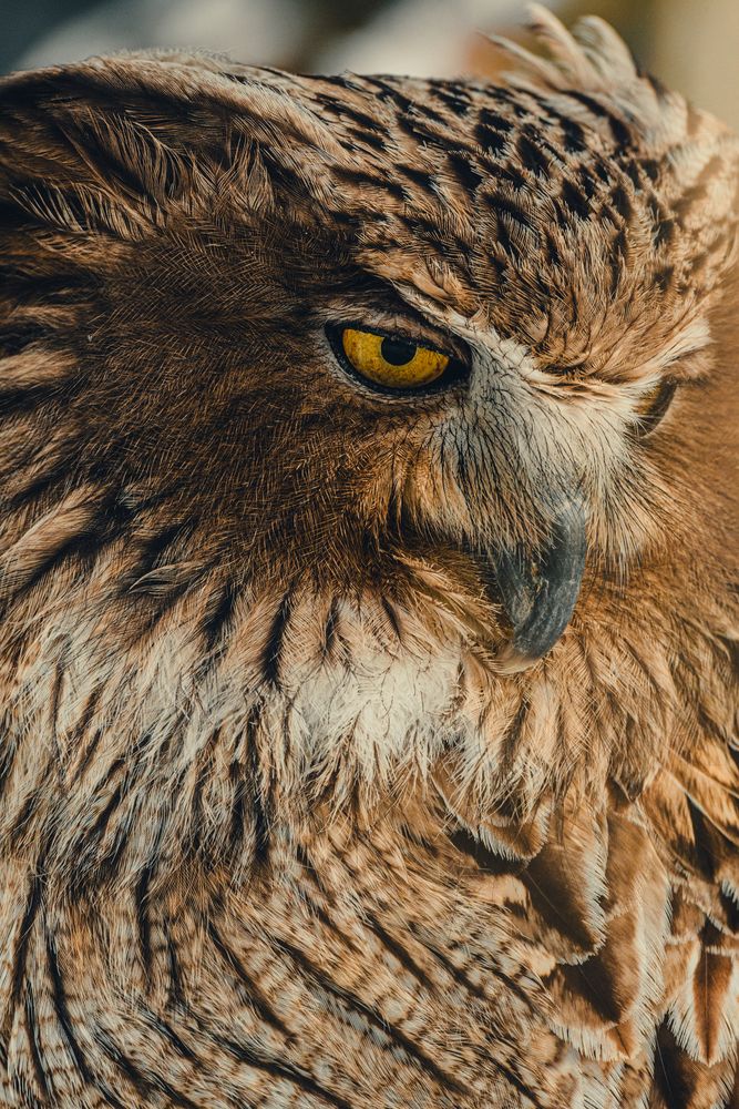 Фотография автора Павел Ващилов