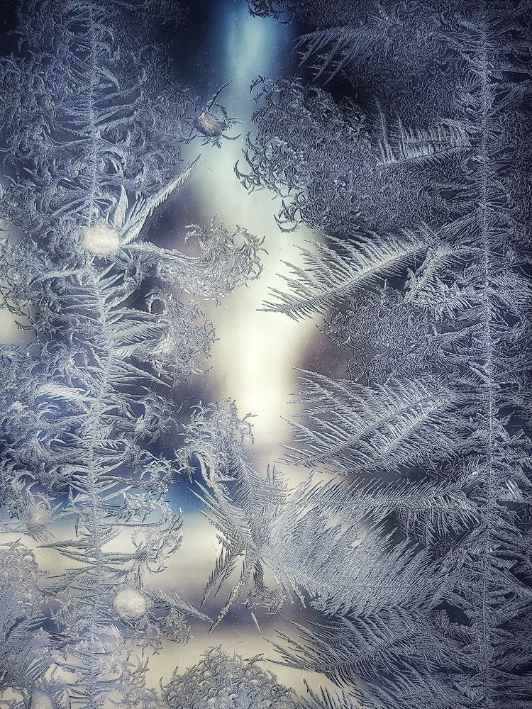 Photograph by Анна Зорька