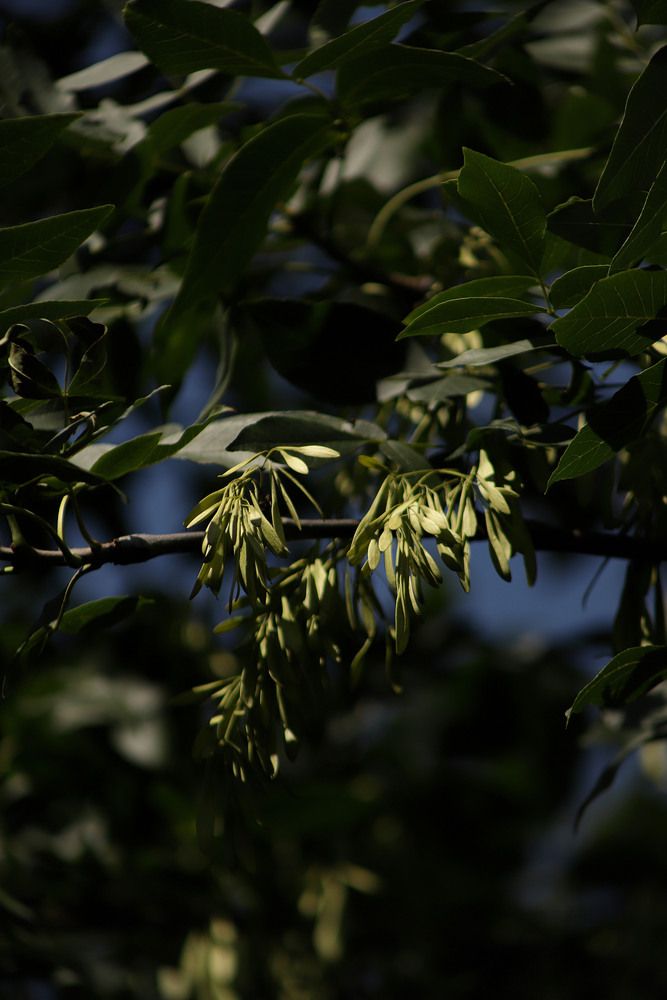 Photograph by Елена Гостева