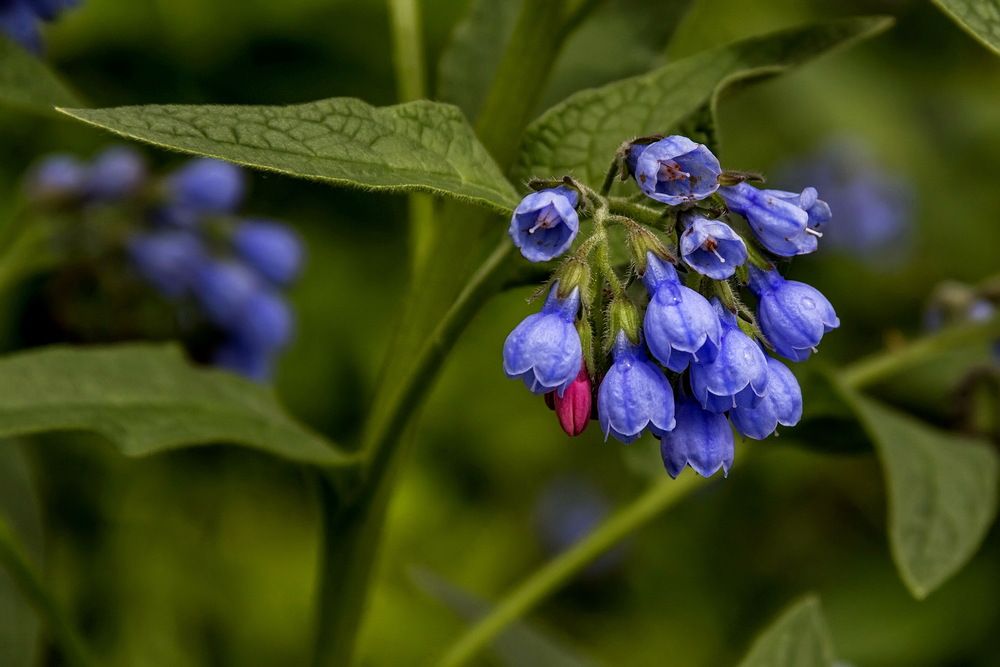 Photograph by Анатолий Чесноков