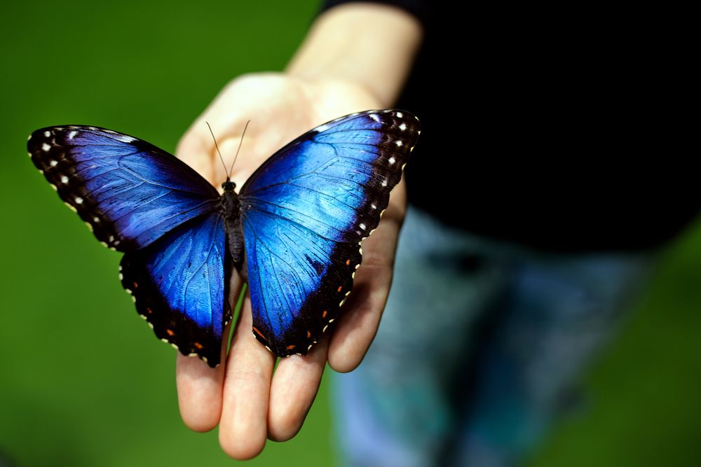 Photograph by Елена Гостева