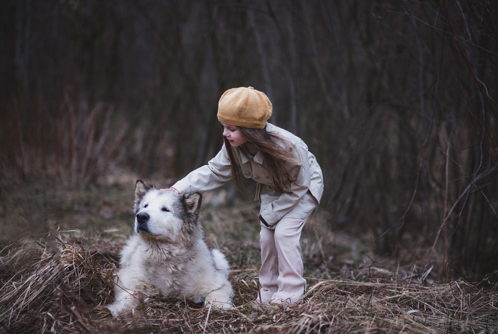 Photograph by Ольга Черкасова