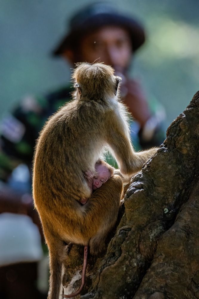 Photograph by Shehan Dondeenu