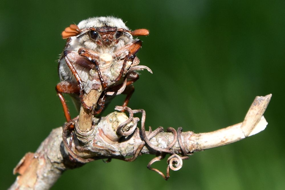 Photograph by Dimon Grinih