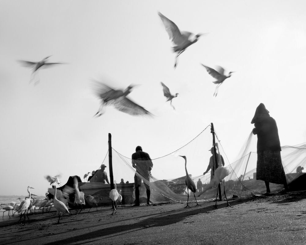 Photograph by Shehan Dondeenu