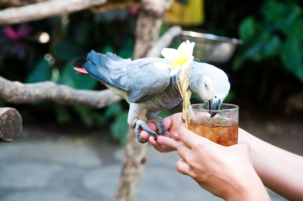 Photograph by Yana Vitkovskaya