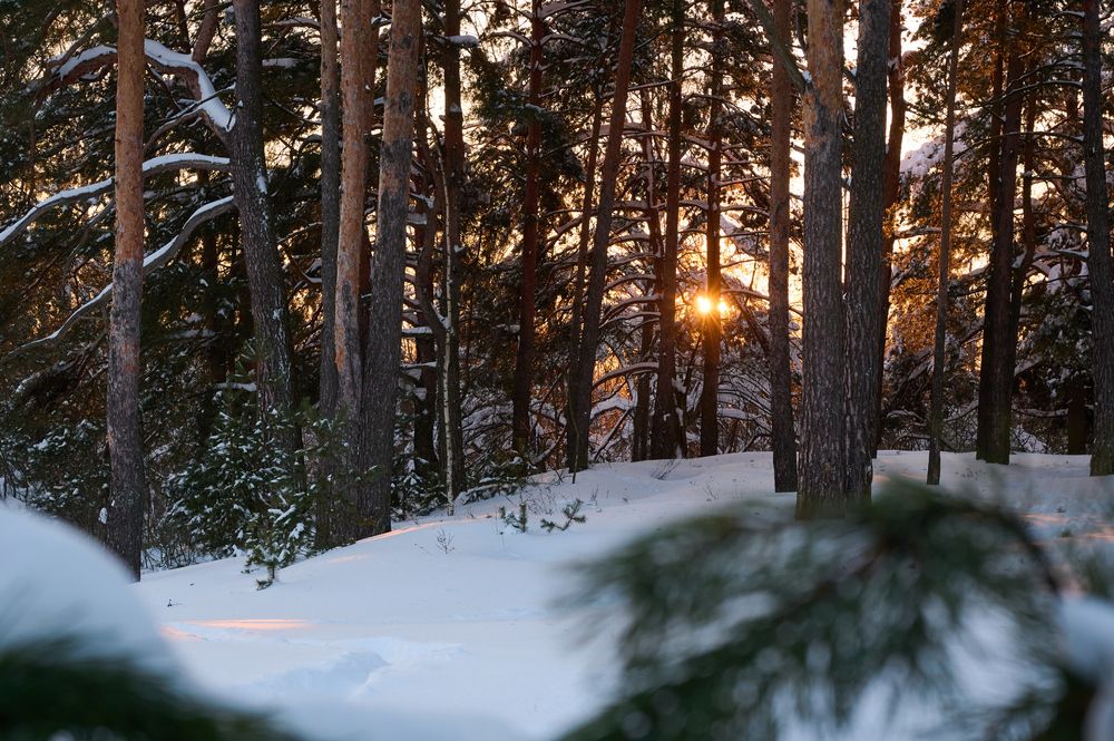 Photograph by Sergey Larin