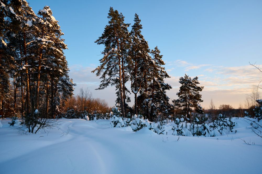 Photograph by Sergey Larin