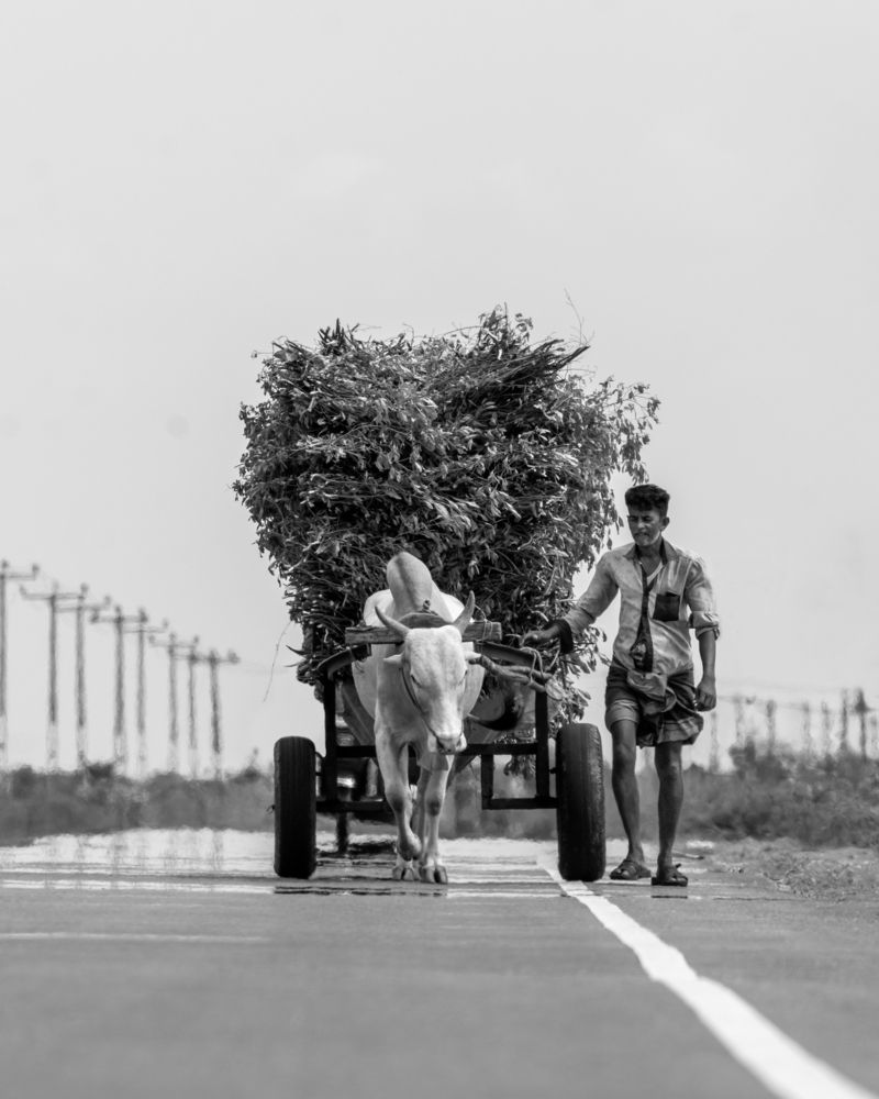 Photograph by Shehan Dondeenu