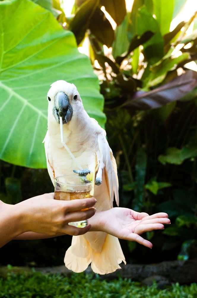 Photograph by Yana Vitkovskaya