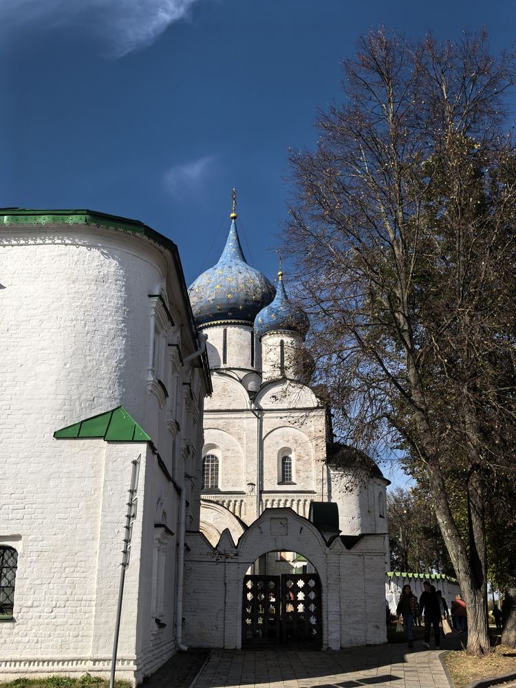 Фотография автора Елена Охапкина