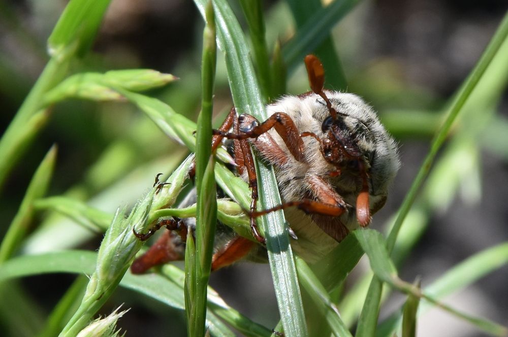 Photograph by Dimon Grinih