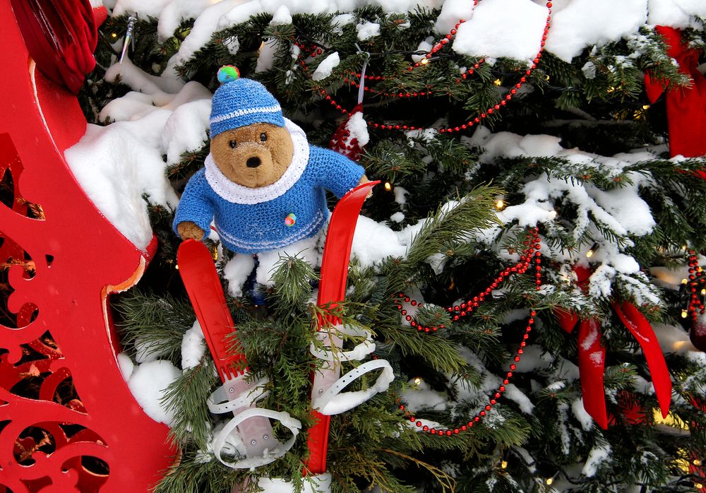 Фотография автора Елена Лаврова