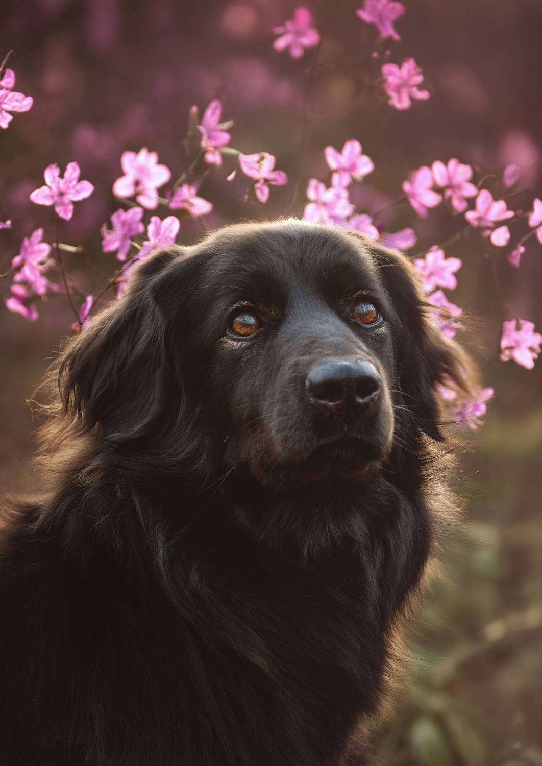 Фотография #13195733