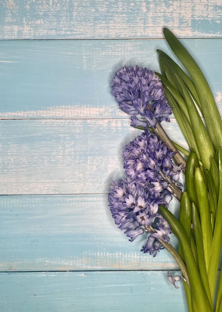 Photograph by Светлана Дмитриева