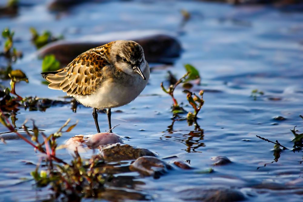 Photograph by Марина Мишутина