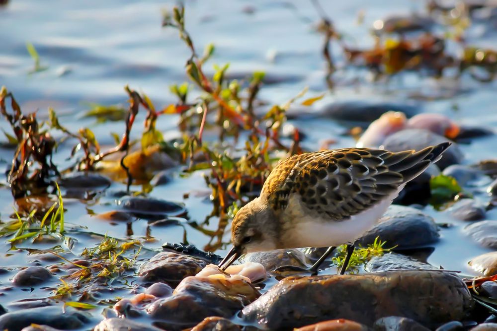 Photograph by Марина Мишутина