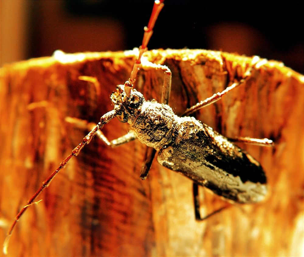 Photograph by Владимир Ким