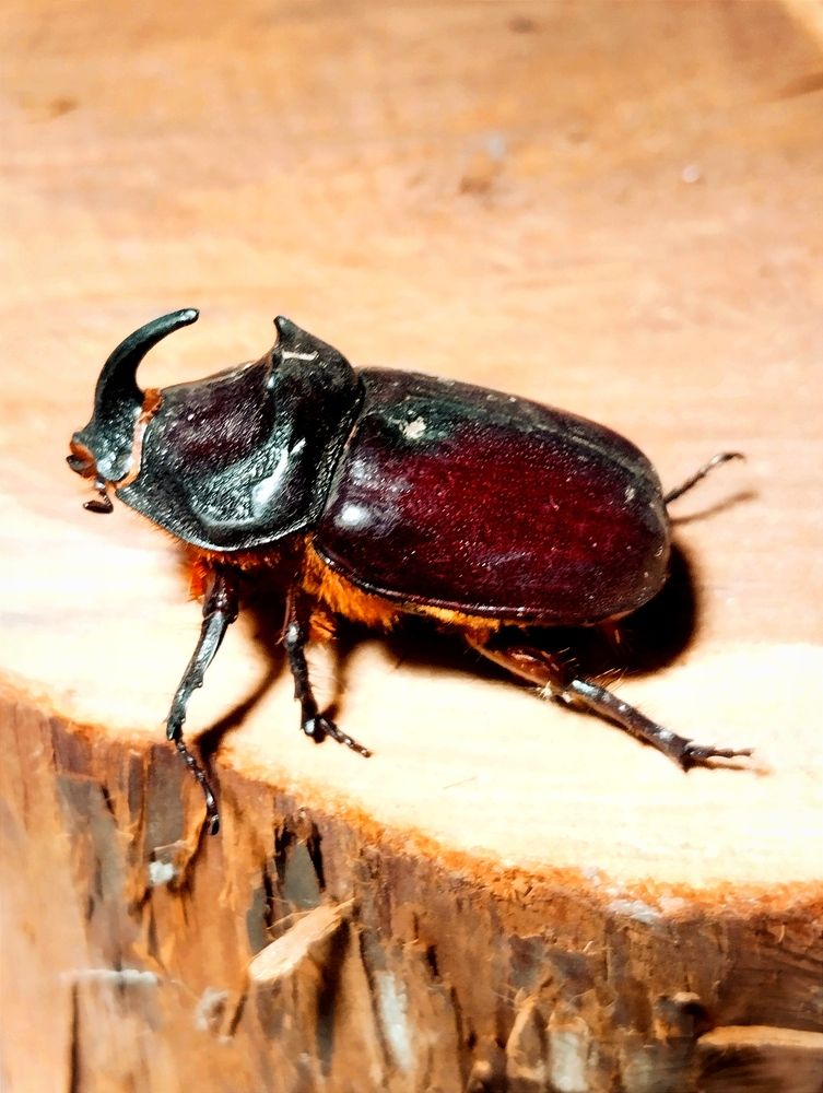 Photograph by Владимир Ким