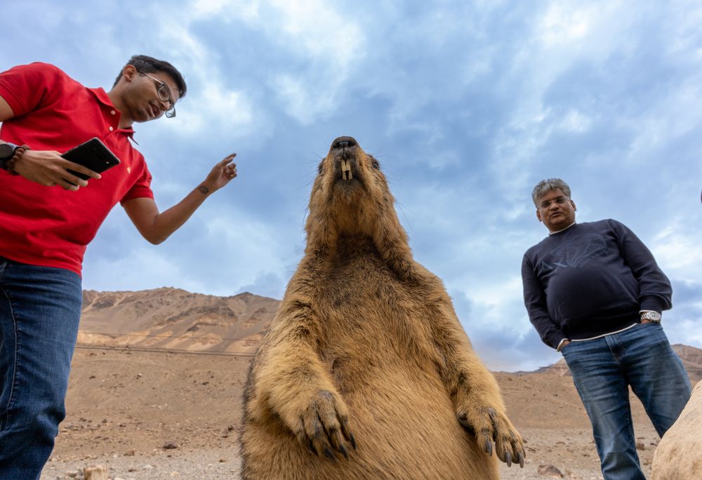 Photograph by Владимир Цветов