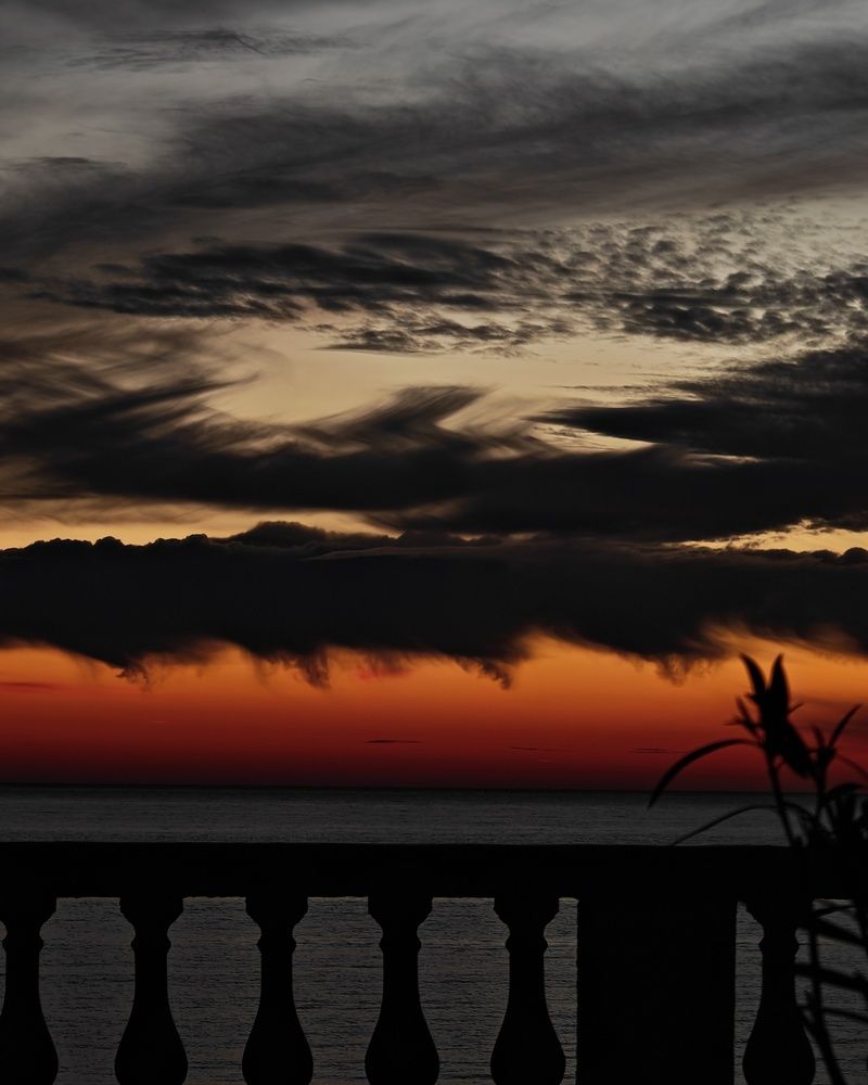 Photograph by Савина Виктория