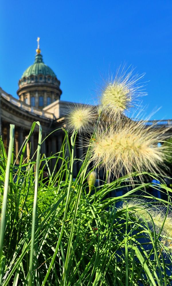 Перед собором