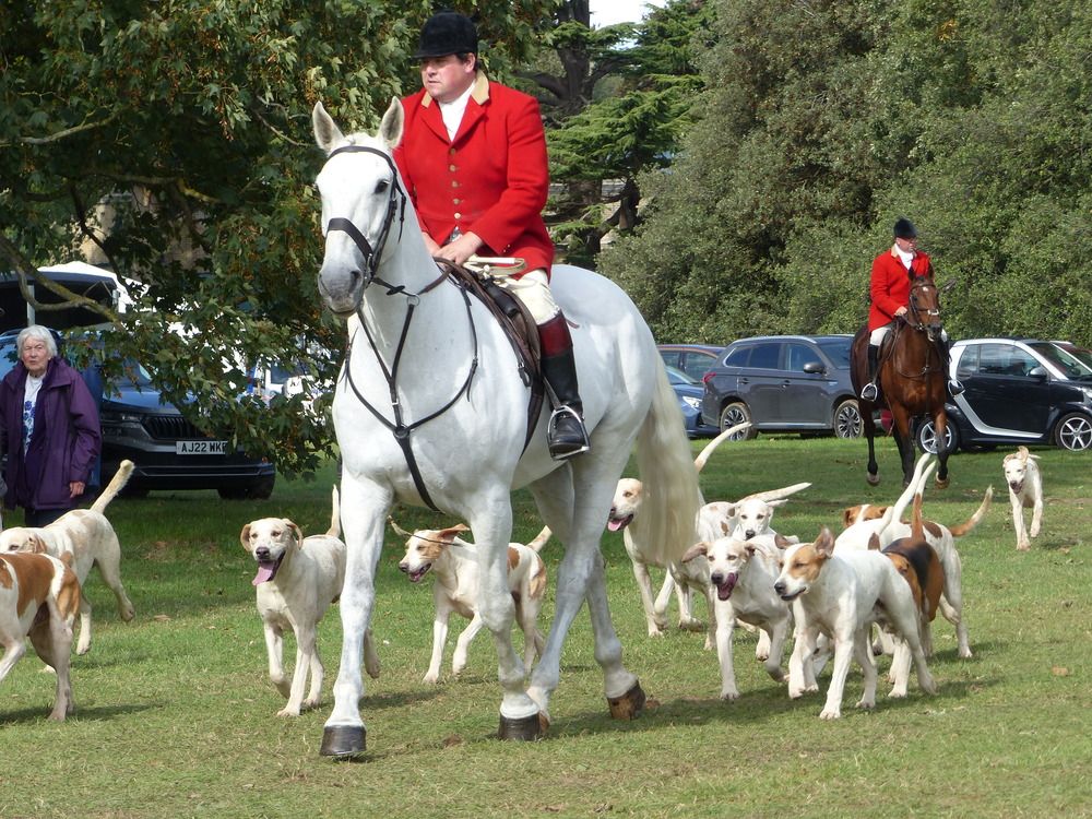 Photograph by Isabella Northrop