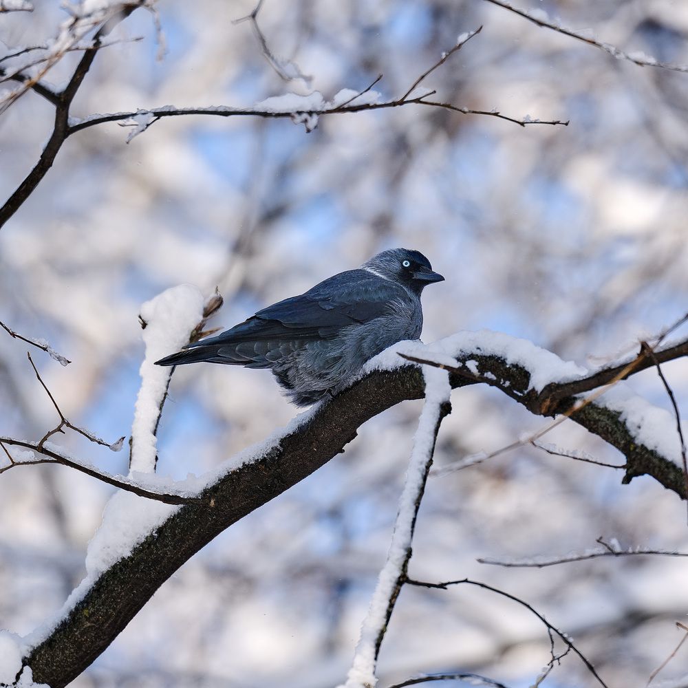 Photograph by Геннадий Суслов