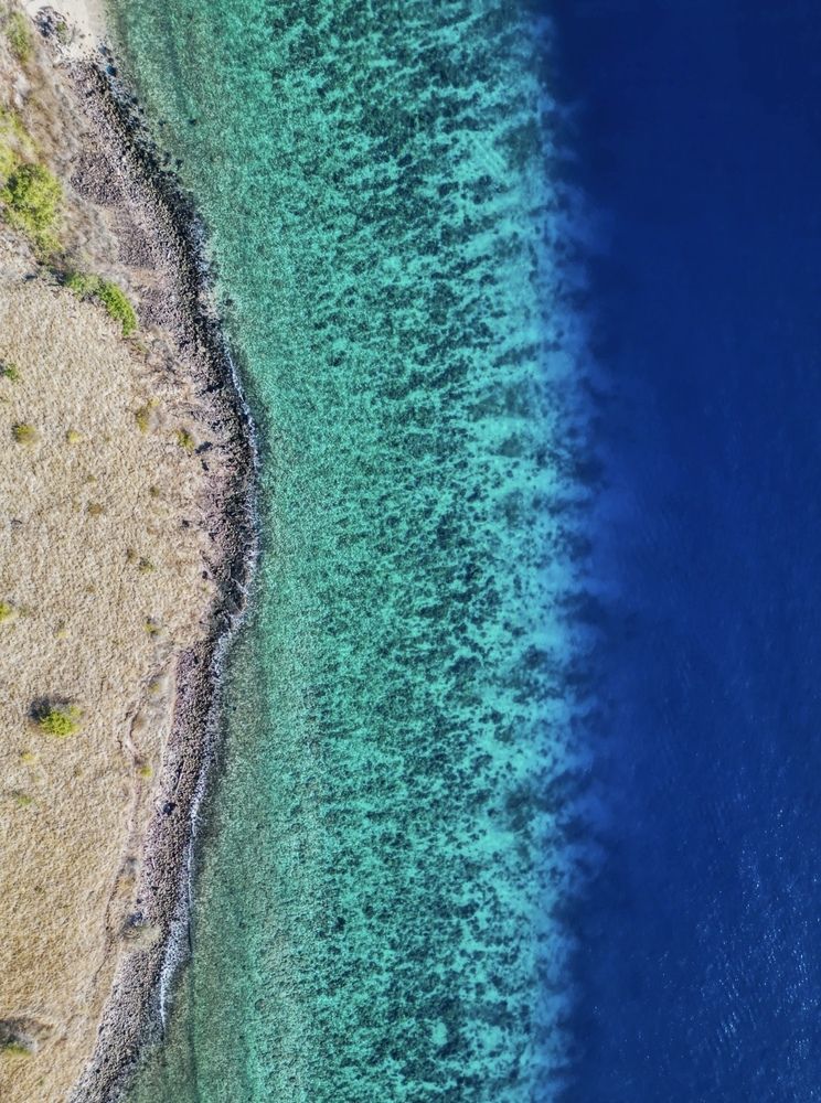 Blu