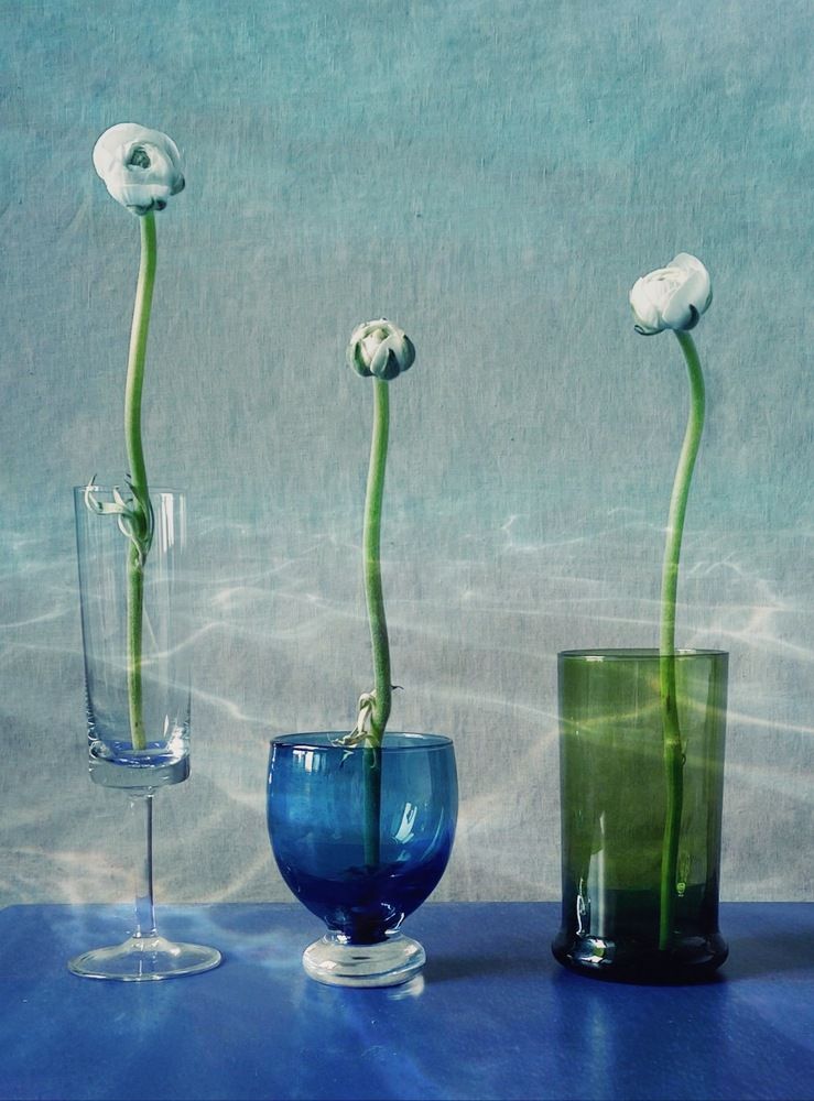 Фотография автора Galina Sa